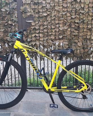 bicicletta montan bike modificata 
