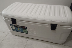 Ghiacciaia Igloo Marine