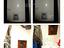 Immagine 11