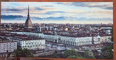 Quadro stampa Torino 70x140