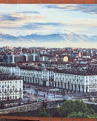 Quadro stampa Torino 70x140