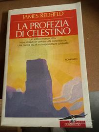 Libro "La Profezia di Celestino"