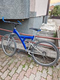 MTB 21 rapporti