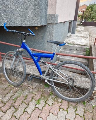 MTB 21 rapporti