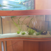 Acquario 200lt