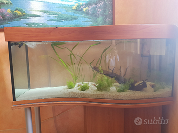 Acquario 200lt