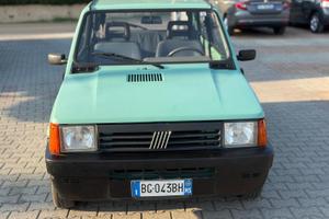Fiat Panda 900 i.e. cat Young