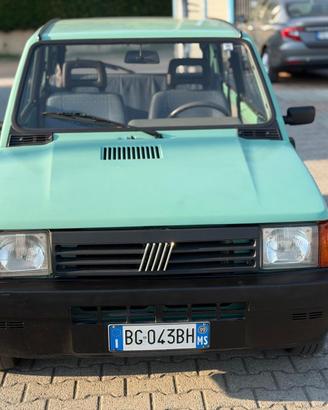 Fiat Panda 900 i.e. cat Young