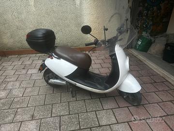 Motore elettrico wayel w2