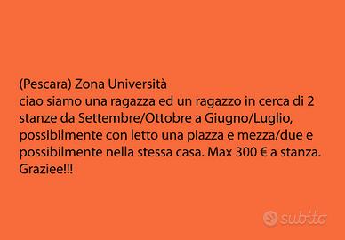 CERCASI 2 camere/trilocale pescara universita'