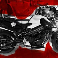 Bmw f 800 r - 2011