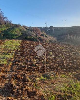 TER. AGRICOLO A ALCAMO