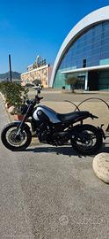 Benelli leoncino 500 trail