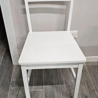 sedie in legno di faggio laccato bianco con seduta