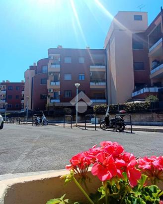 3 LOCALI A ROMA