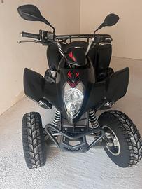 Maxxer 300 Quad 2009
