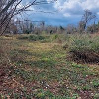Terreno agricolo San Quirino 3000mq