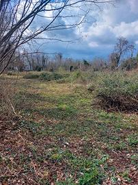 Terreno agricolo San Quirino 3000mq