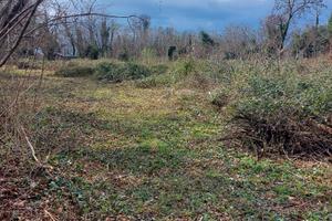 Terreno agricolo San Quirino 3000mq