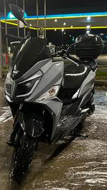 Sym jet 14 125 2021