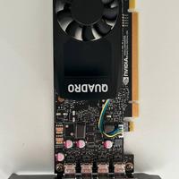 Scheda Video PNY Nvidia Quadro P1000