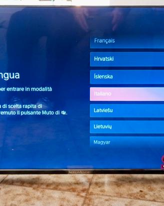 Smart TV 42" come nuovo