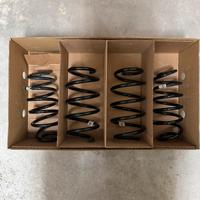 Molle assetto Ford Puma