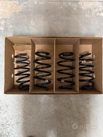 Molle assetto Ford Puma