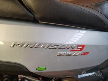 Ricambi MALAGUTI MADISON 3 250 ie BAULETTO/ADESIVI