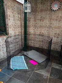 Recinzione  per cane di taglia grande