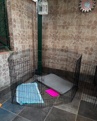 Recinzione  per cane di taglia grande