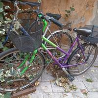 Bicicletta donna city bike Giant 26 cambio shimano