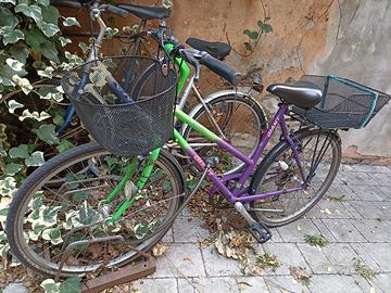 Bicicletta donna city bike Giant 26 cambio shimano