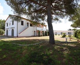 Campiglia m.ma - Casa di campagna con parco