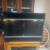 Teca-terrario in legno