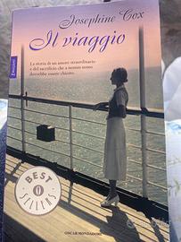 il viaggio