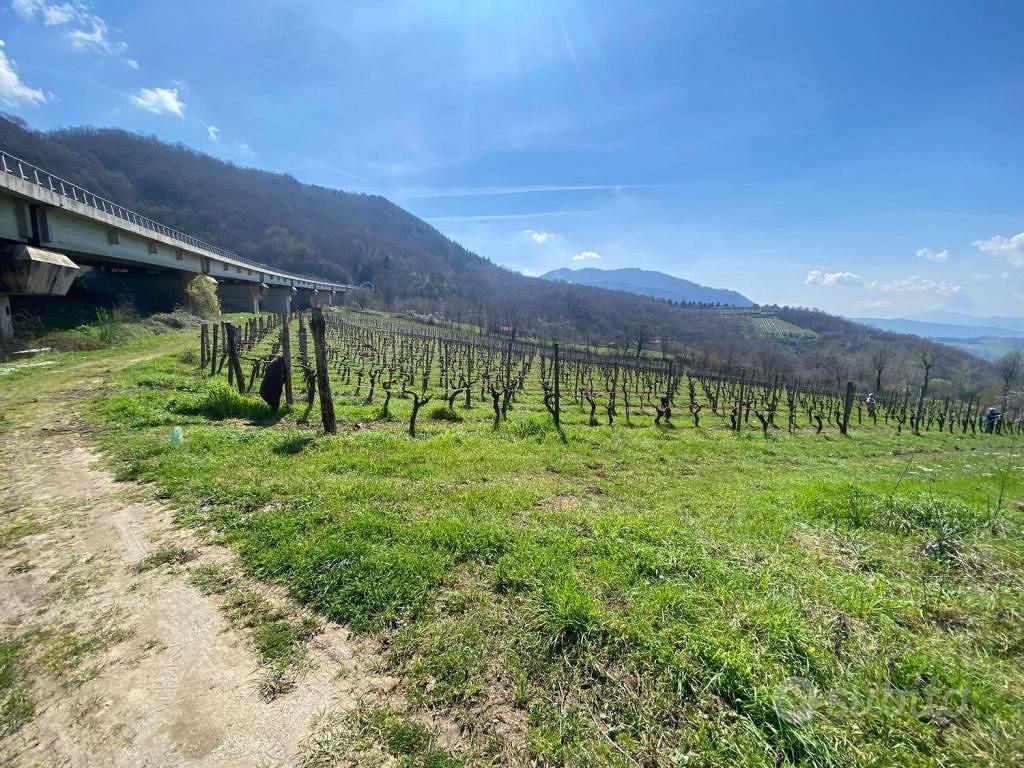 Terreno di 9000 m² a Parolise - Vista 5