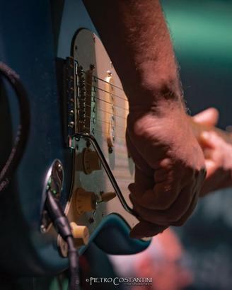 Fender Stratocaster American Perfomer