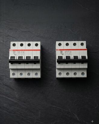 Coppia Interruttori Magnetotermici ABB S204 C16