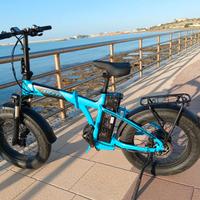 Bicicletta elettrica