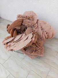 rosa del deserto pietra