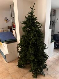Albero di natale