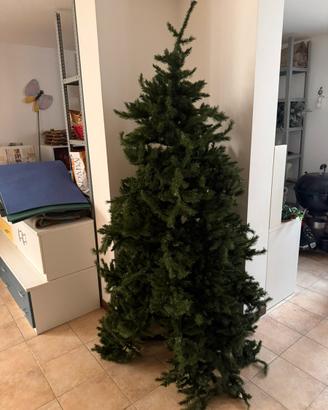 Albero di natale