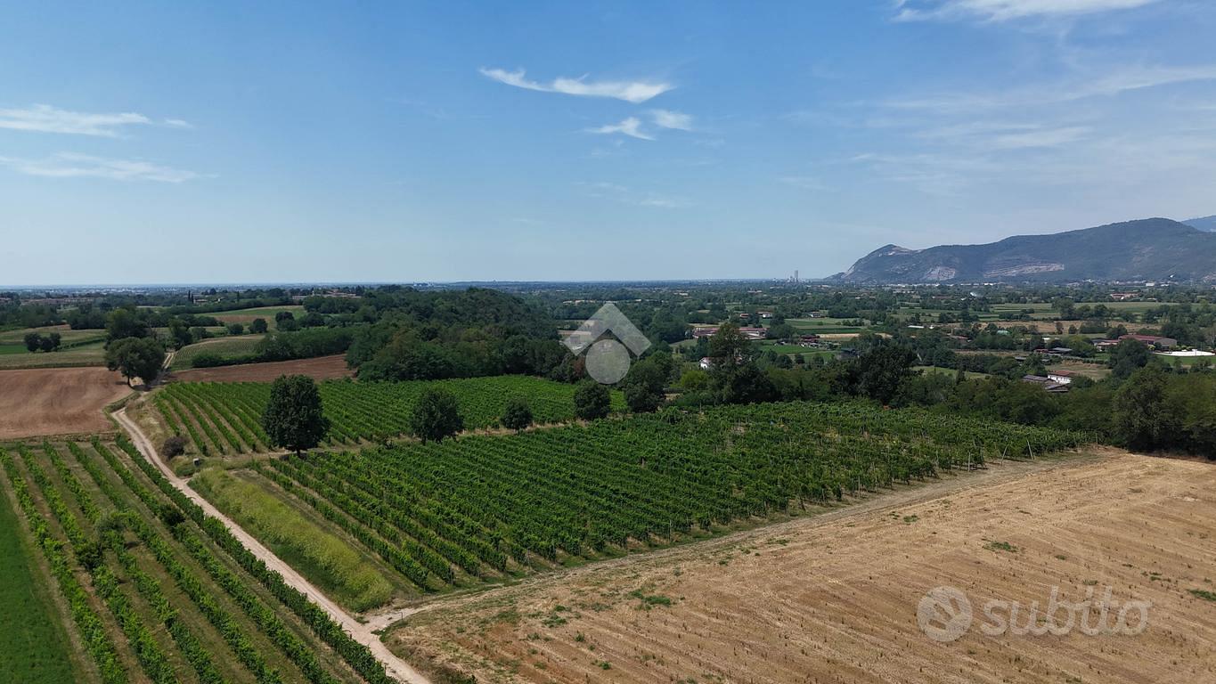 TER. AGRICOLO A CALVAGESE DELLA RIVIERA - Vista 2