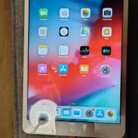 iPad mini 2