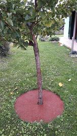 Anelli per piante e faretti per giardino