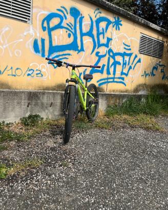 whellibike
