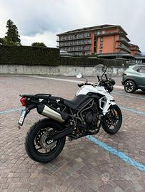 Triumph Tiger 800 xcx 2021
