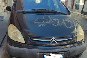 auto picasso
