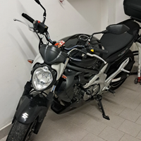 Suzuki Gladius 650
